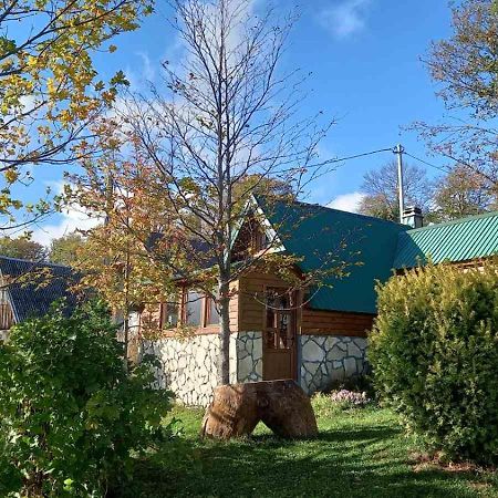 Family Farm Bungalow Žabljak Dış mekan fotoğraf