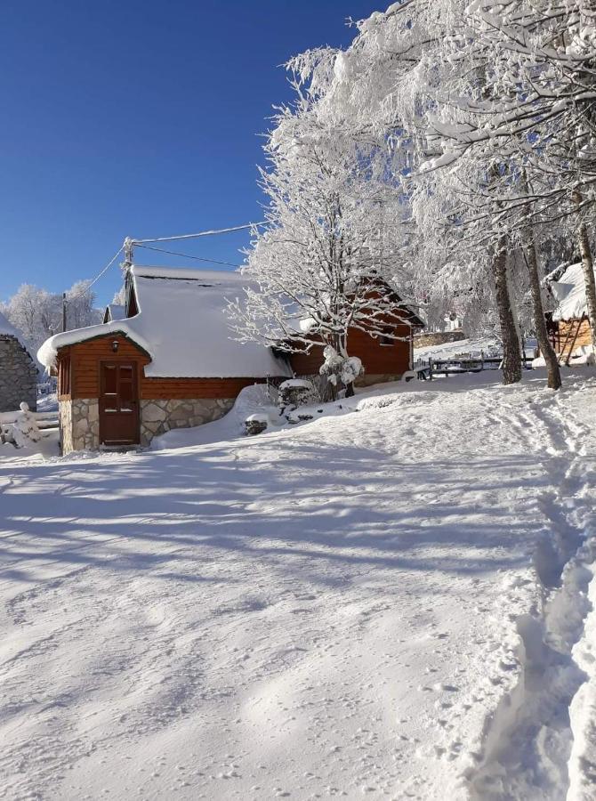 Family Farm Bungalow Žabljak Dış mekan fotoğraf