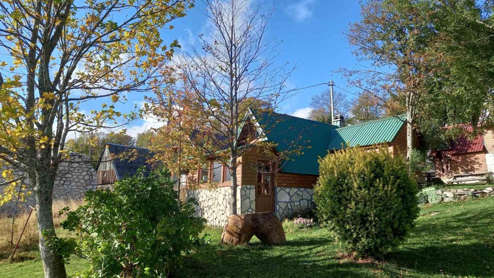 Family Farm Bungalow Žabljak Dış mekan fotoğraf