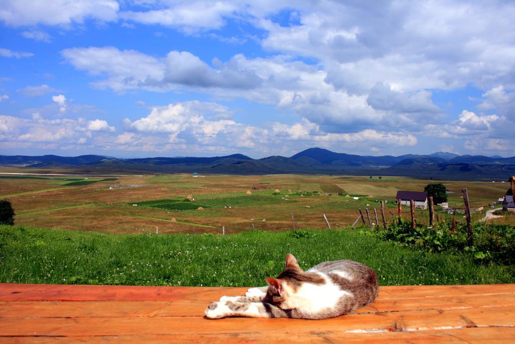 Family Farm Bungalow Žabljak Dış mekan fotoğraf